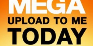 megaUpload mensaje