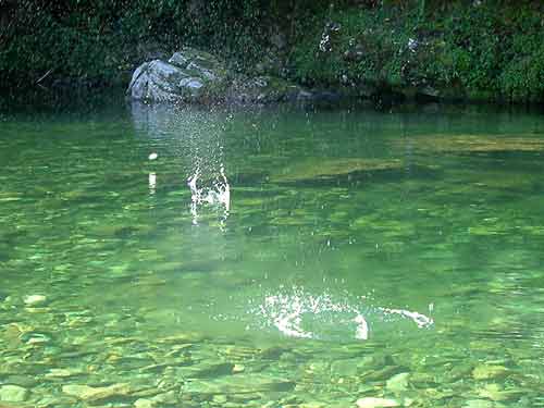 Cual es la física detrás de lanzar piedras al rio?